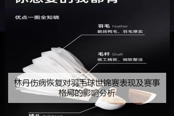 林丹伤病恢复对羽毛球世锦赛表现及赛事格局的影响分析