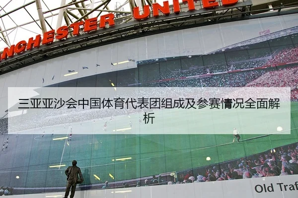 三亚亚沙会中国体育代表团组成及参赛情况全面解析