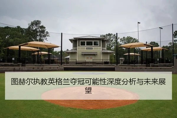 图赫尔执教英格兰夺冠可能性深度分析与未来展望